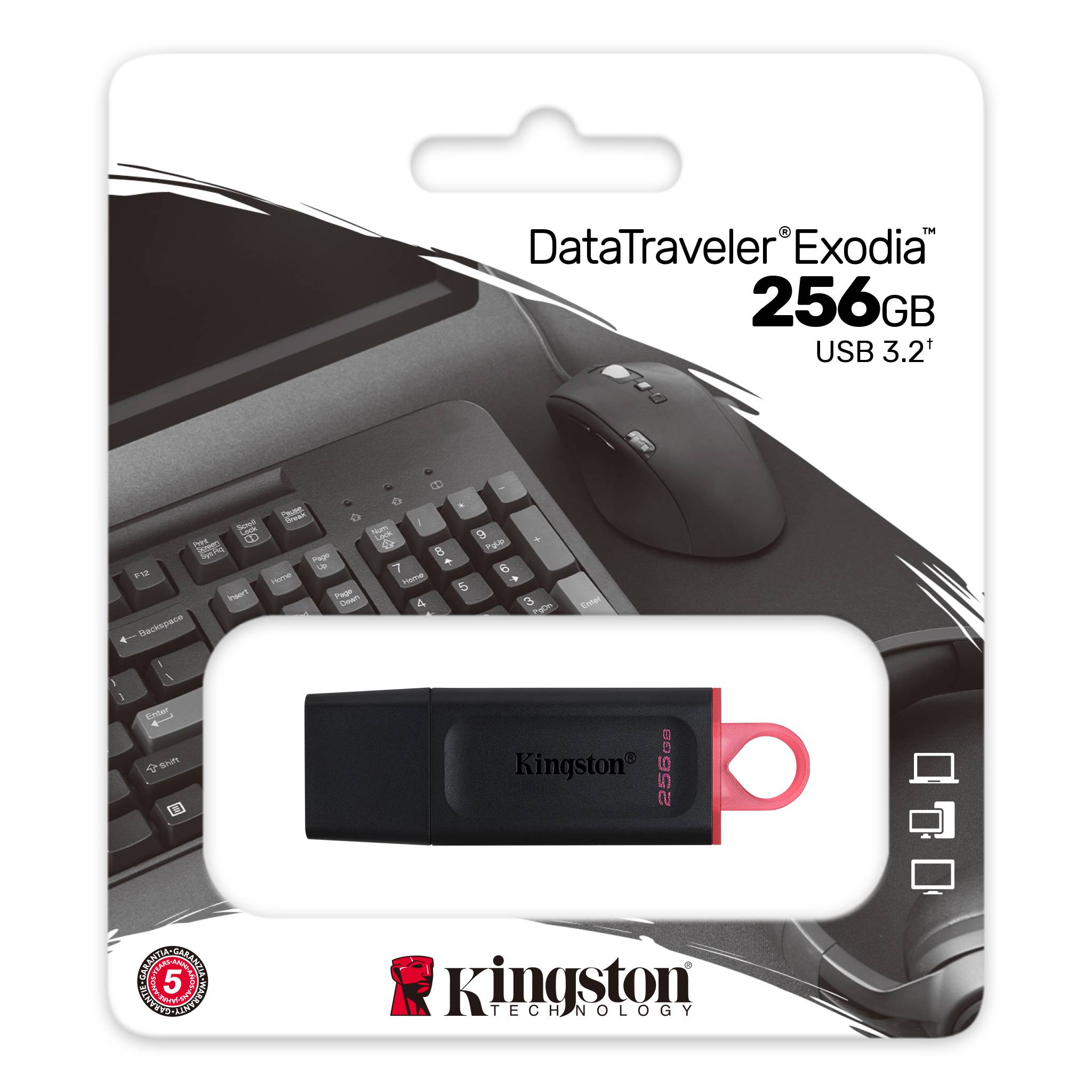 Kingston DT Exodia 256GB
